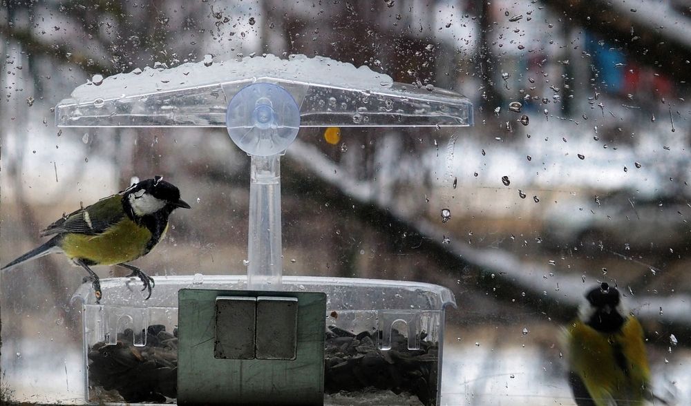 Фотография автора Гоголев Игорь
