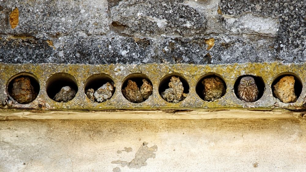 Photograph by Татьяна Жеребцова