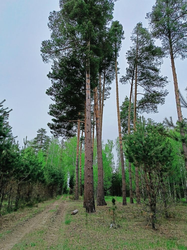 Photograph by Татьяна Пятернёва