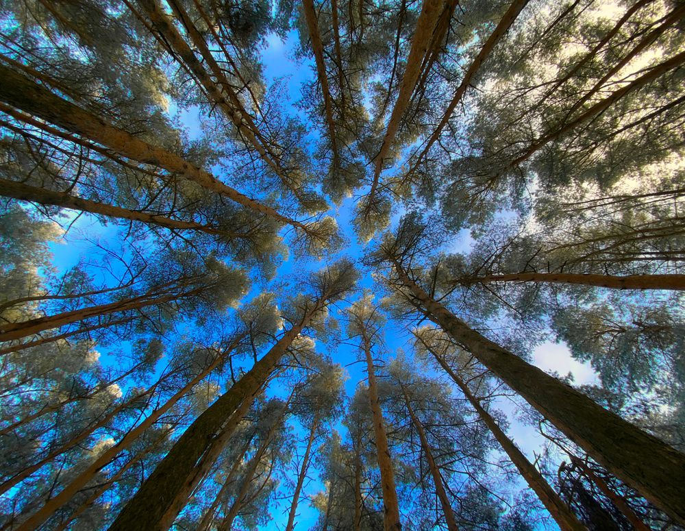Photograph by Dmitry Kuzmich