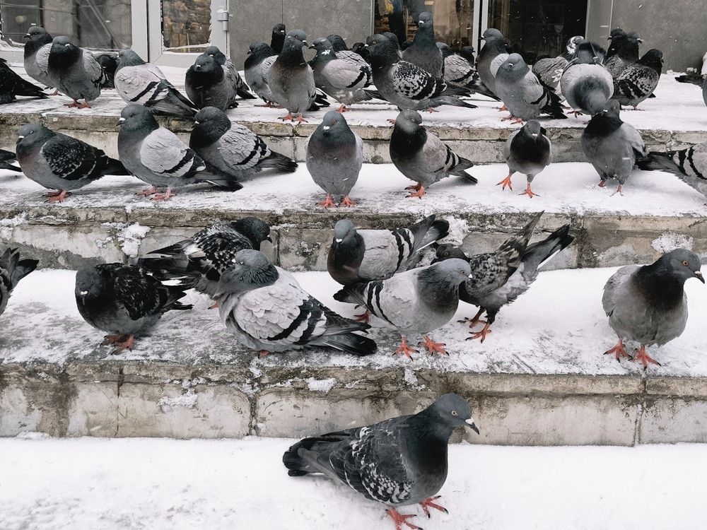 Photograph by Ольга Денисова