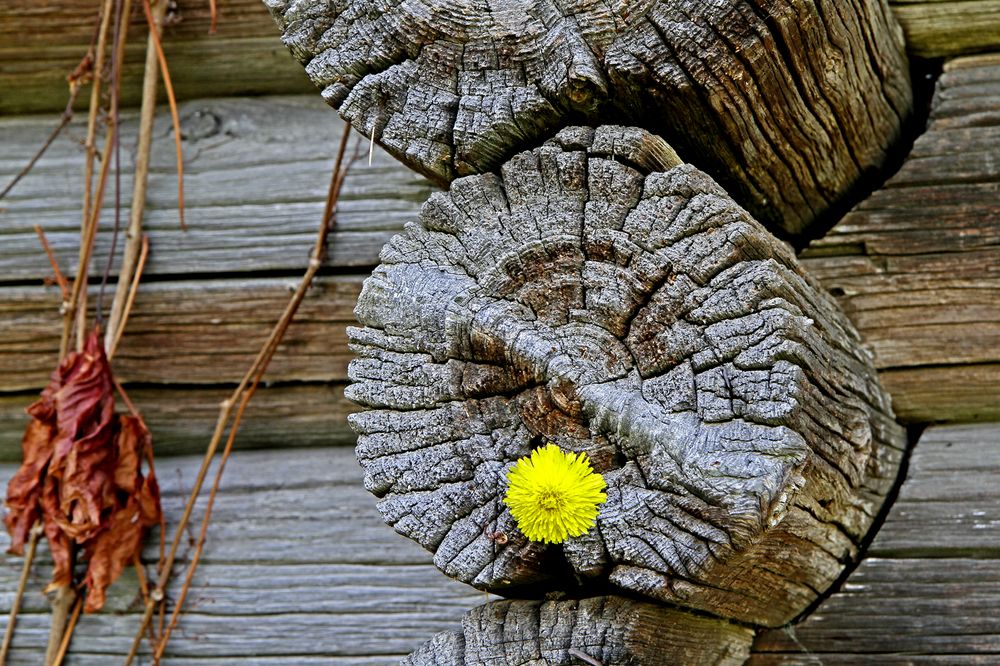 Photograph by Сергей Уржумов