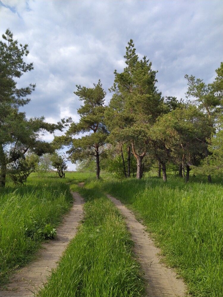 Фотография автора Наталья Алексеева