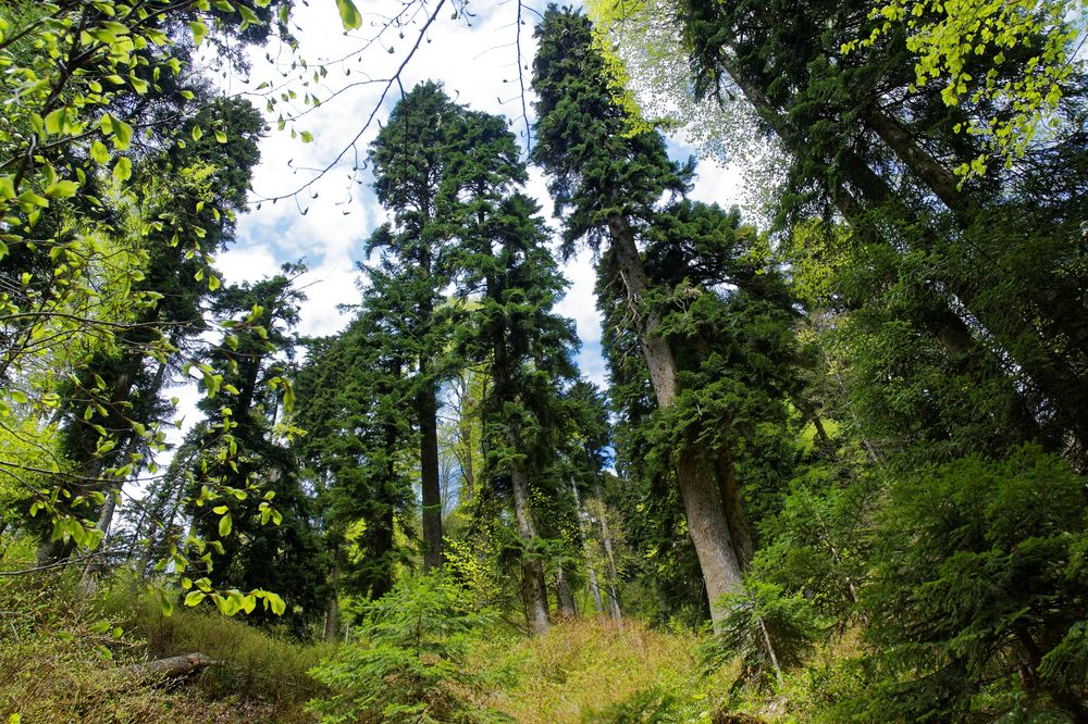 Photograph by Антон Громов