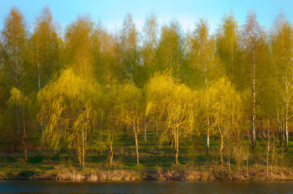 Photograph by Dmitry Kuzmich