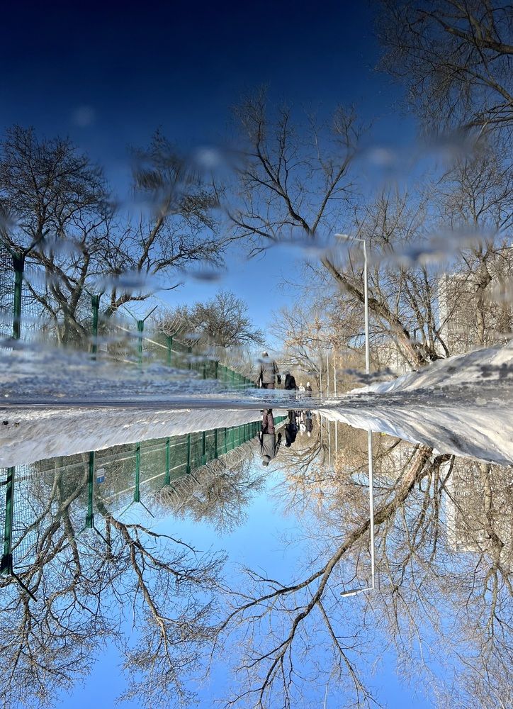 Photograph by Оксана