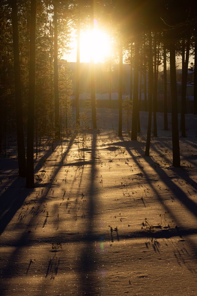 Photograph by Ольга Денисова