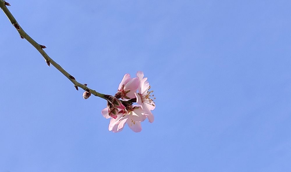 Photograph by Евгений Самулев