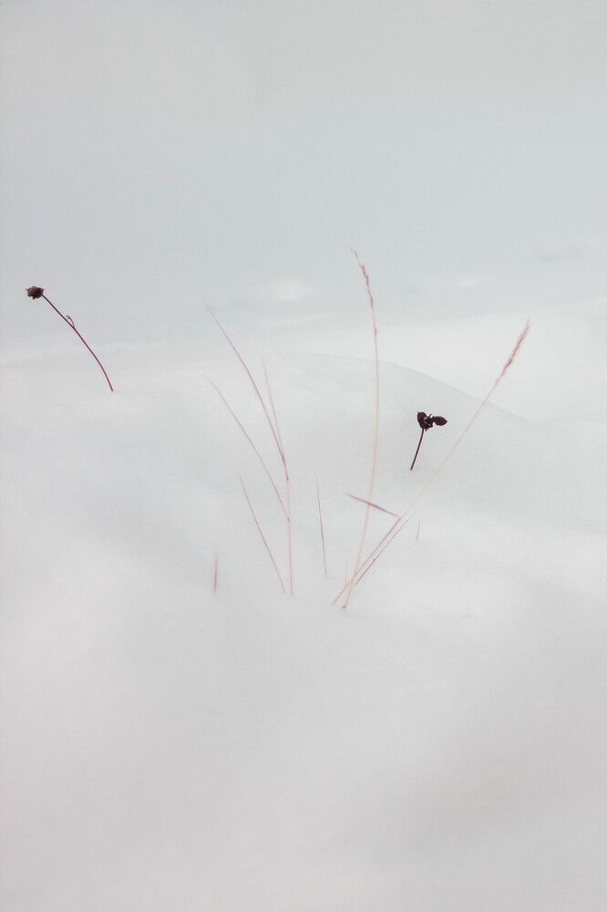 Фотография автора Анна Хейфиц