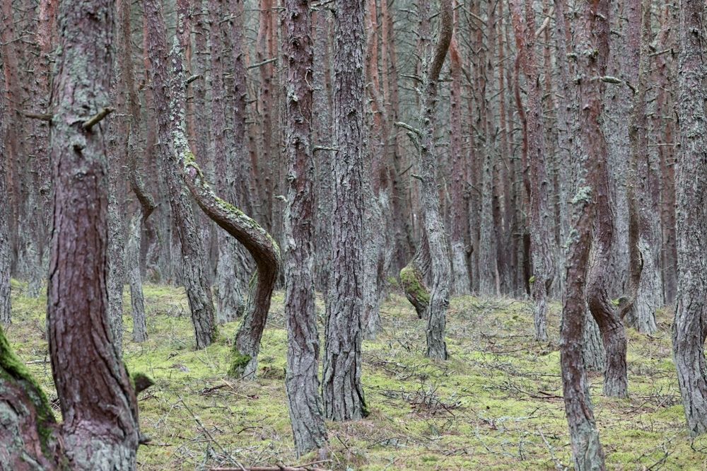 Photograph by Одаренко Ольга
