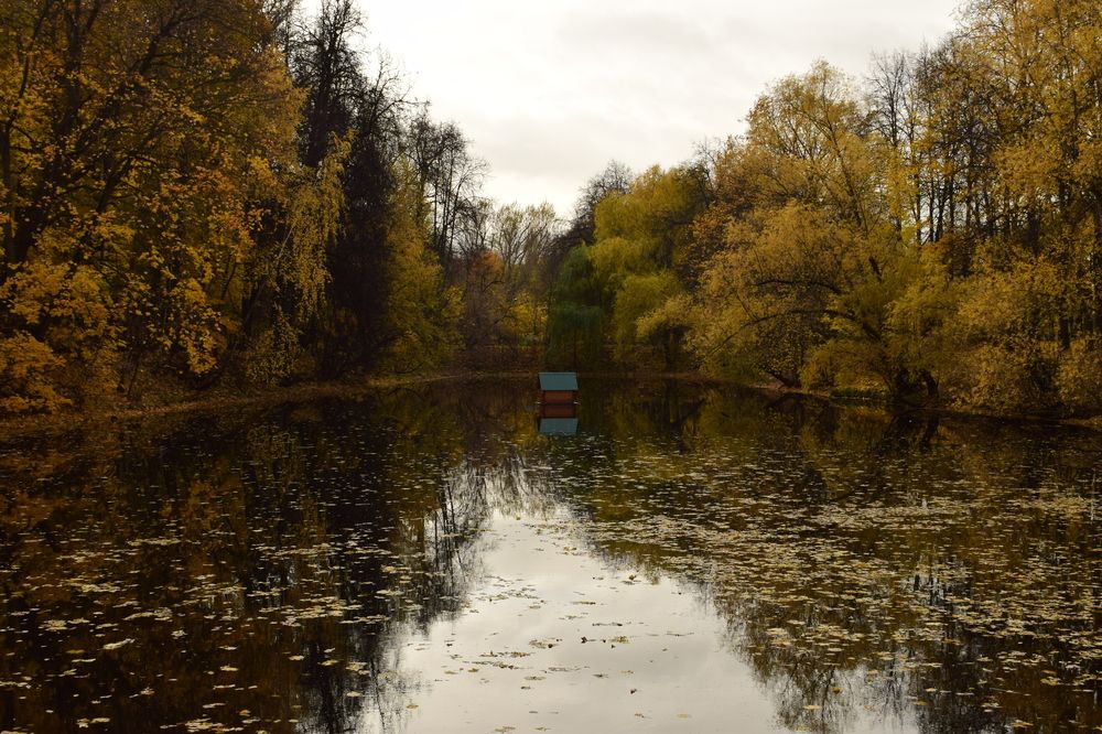 Photograph by Виктория Дремо