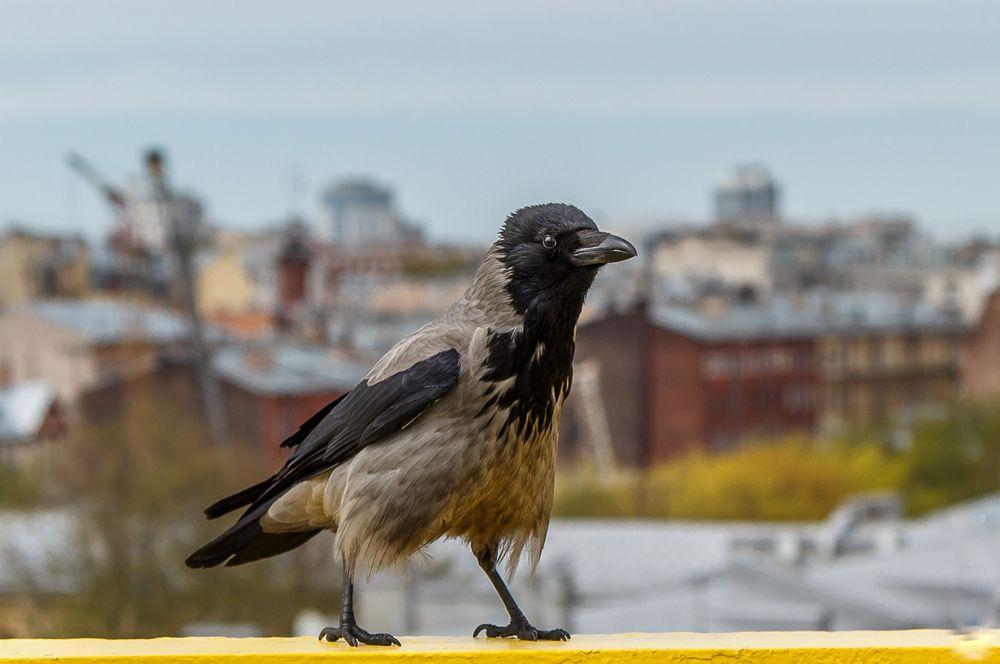 Photograph by Вадим Маслов