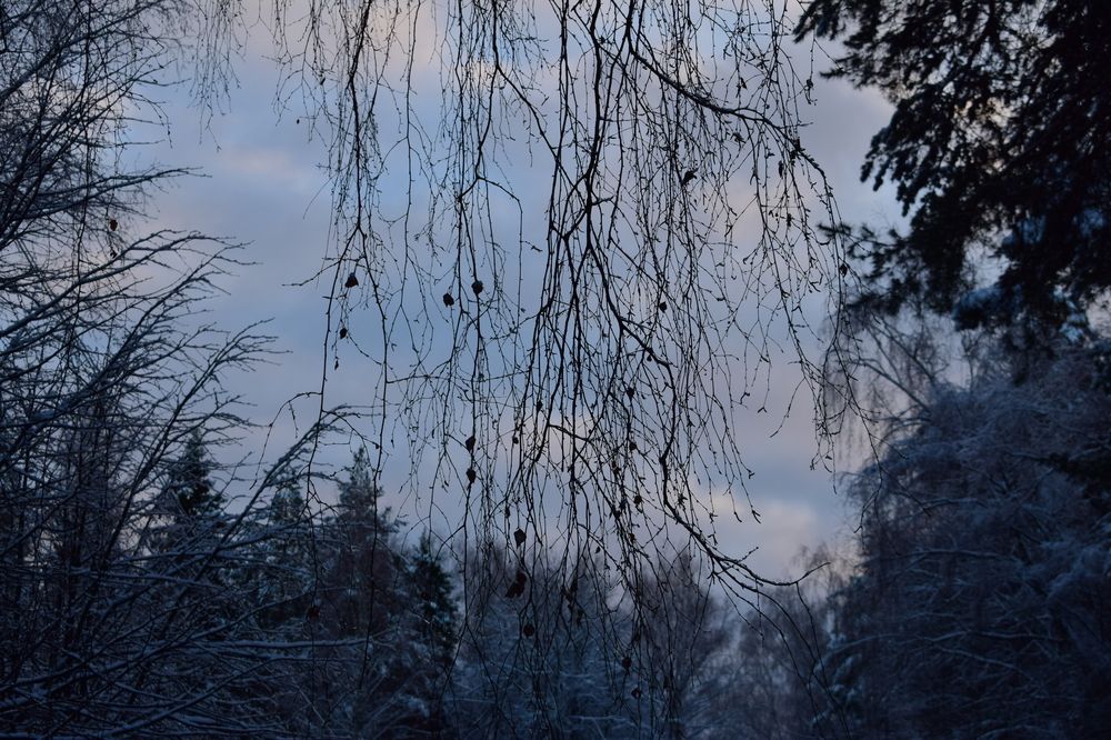 Photograph by Виктория Дремо