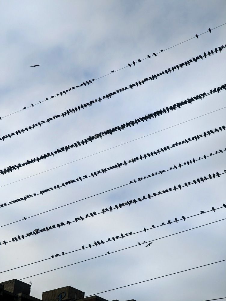 Photograph by Shaila Mahbub