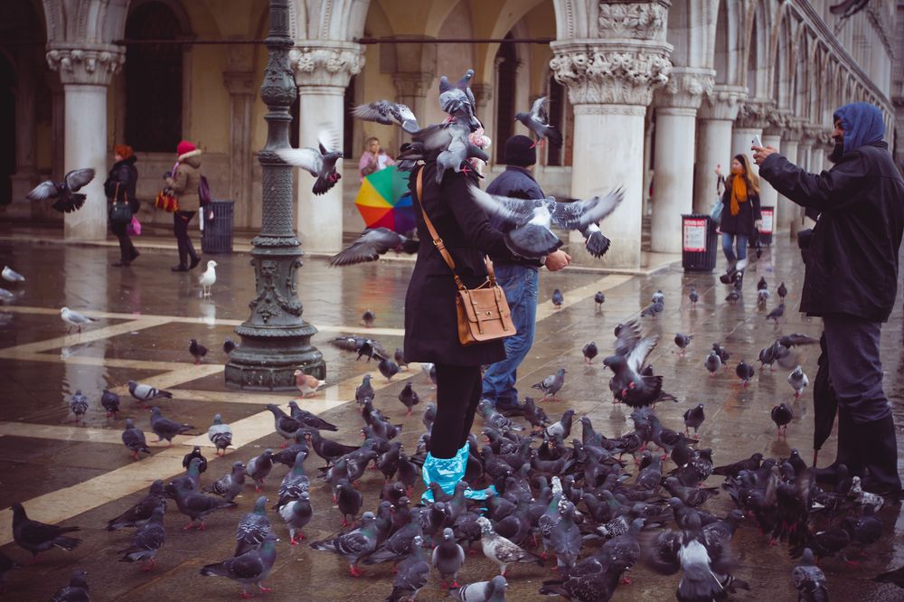 Фотография автора Анна Петина