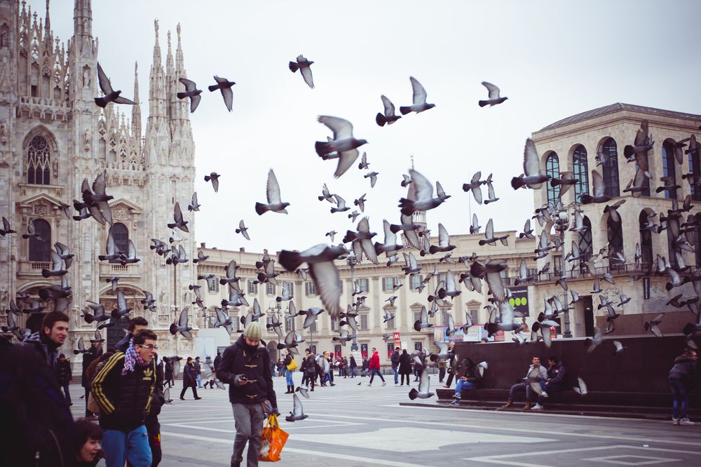 Фотография автора Анна Петина