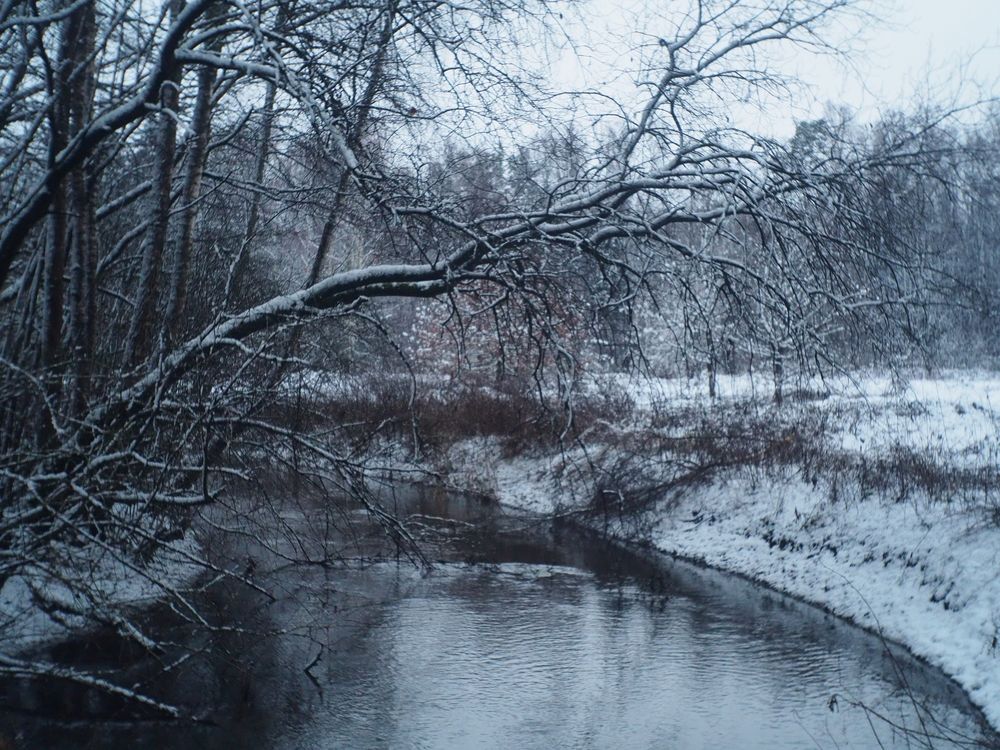 Photograph by андрей гусев