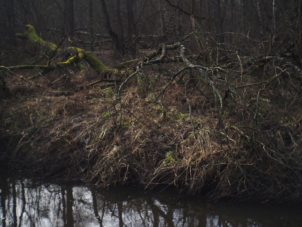 Photograph by андрей гусев