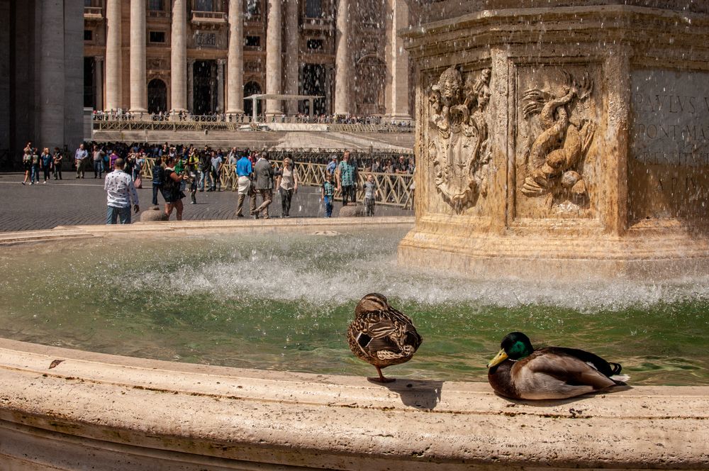 Фотография автора Chorche Prigo