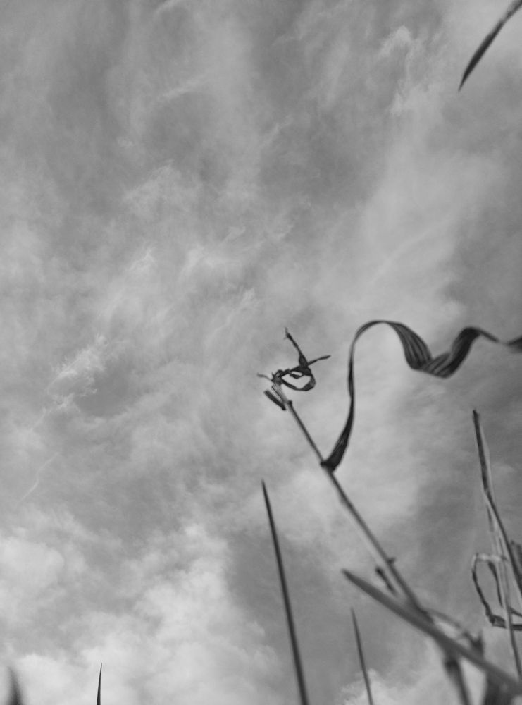 Иероглиф травы