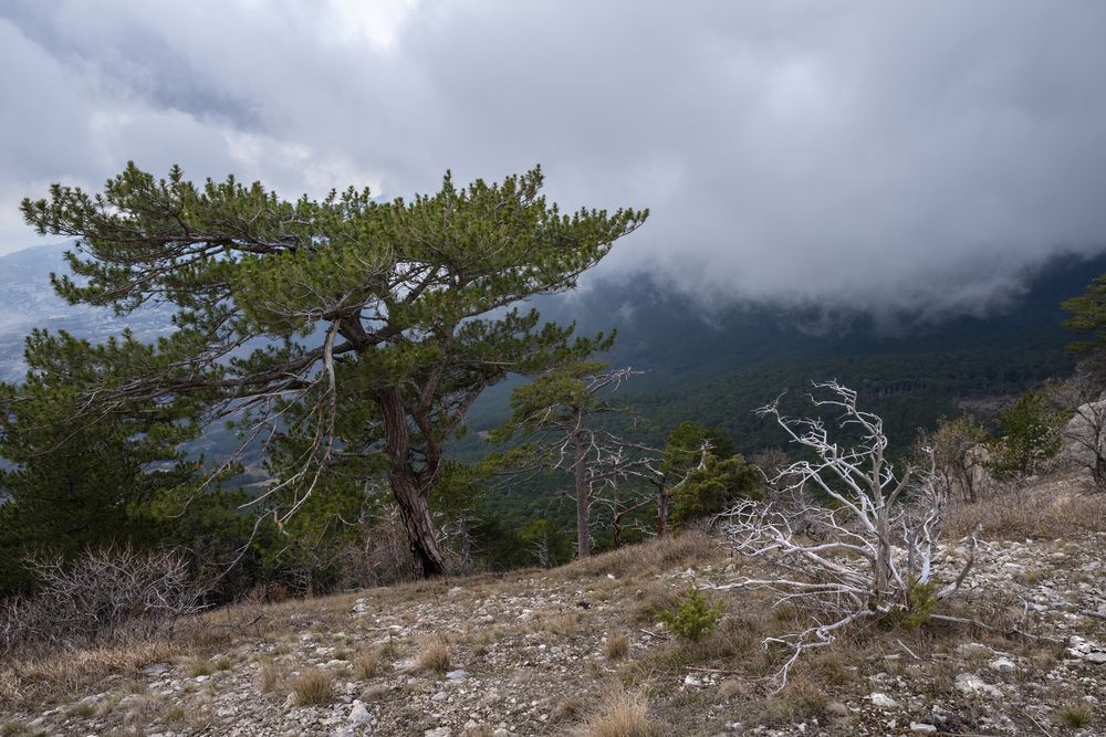 Photograph by Виктор Филипчук