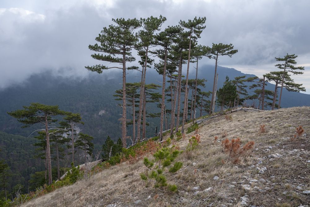 Photograph by Виктор Филипчук