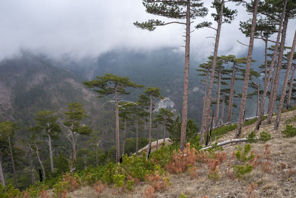 Photograph by Виктор Филипчук