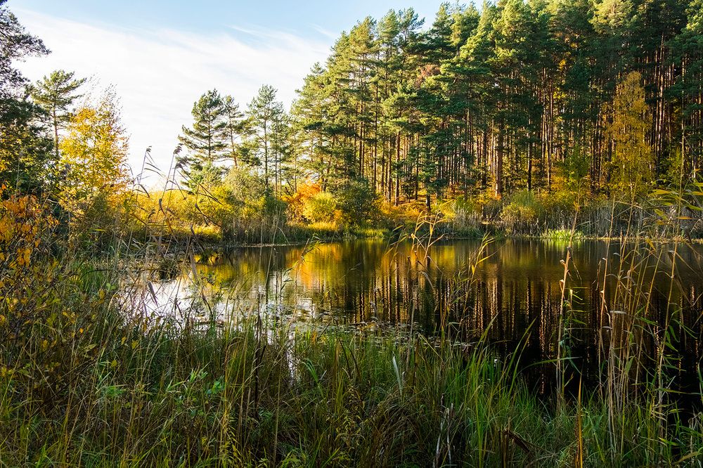 Фотография автора Наталья Липовская