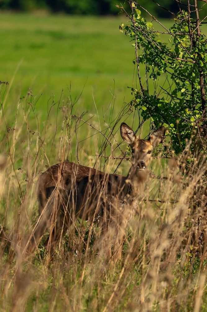 Photograph by Сергей Конюшенко