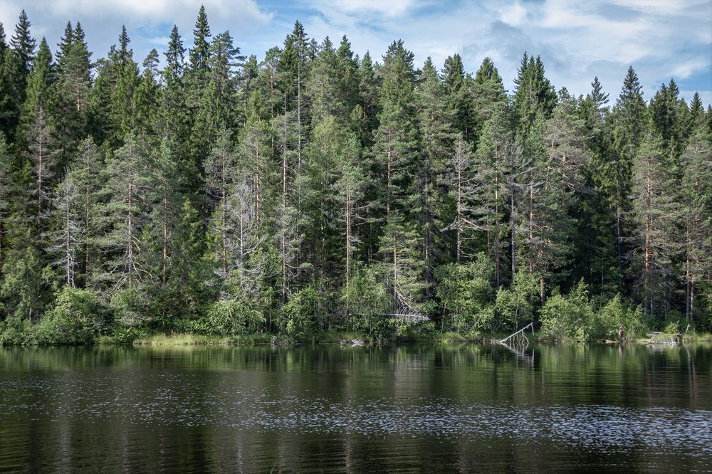 Photograph by Саиди Светлана