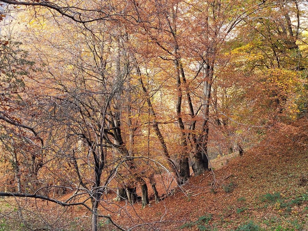 Photograph by Catherine Walter-Prêtre