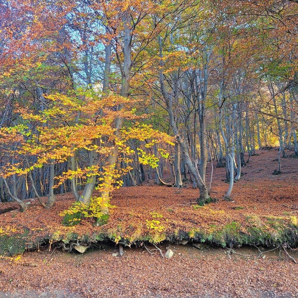 Photograph by Catherine Walter-Prêtre