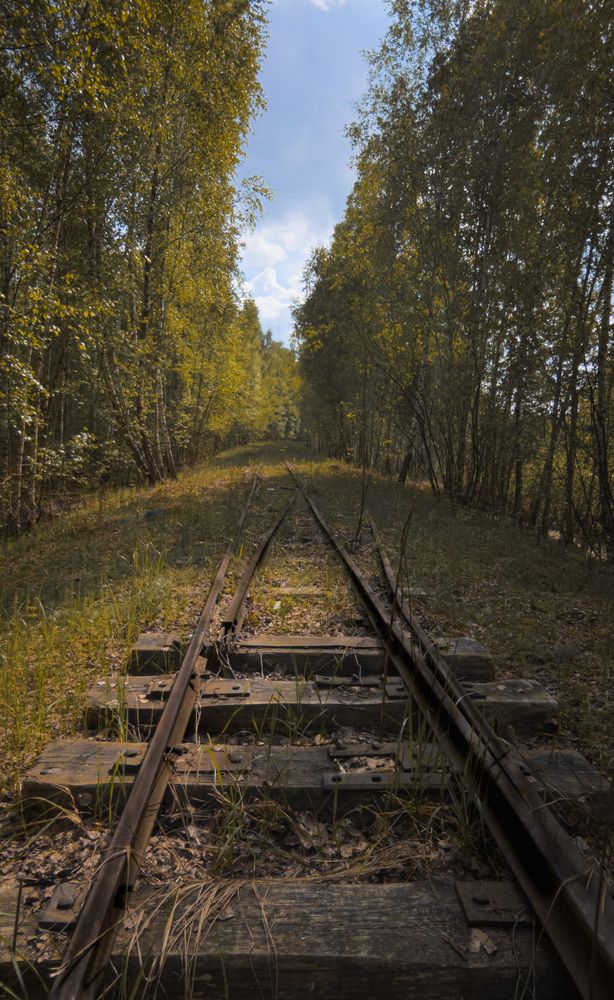 Фотография автора Геннадий Ломеко