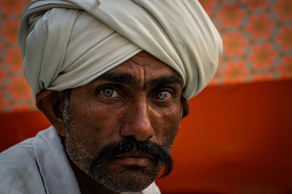 Photograph by Lodi Pertovt