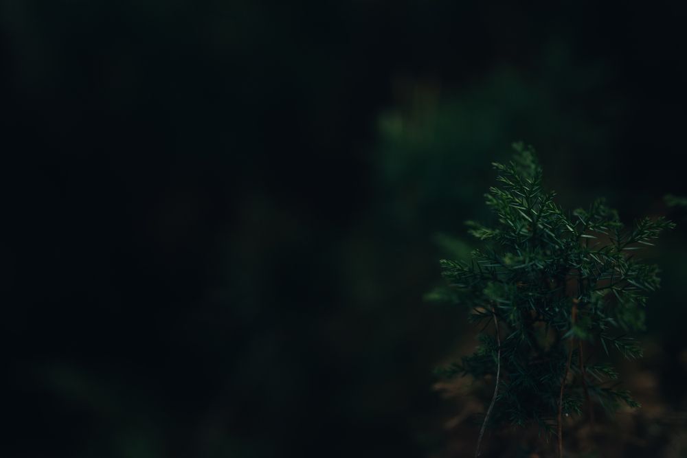 Фотография автора Анна Рыкова