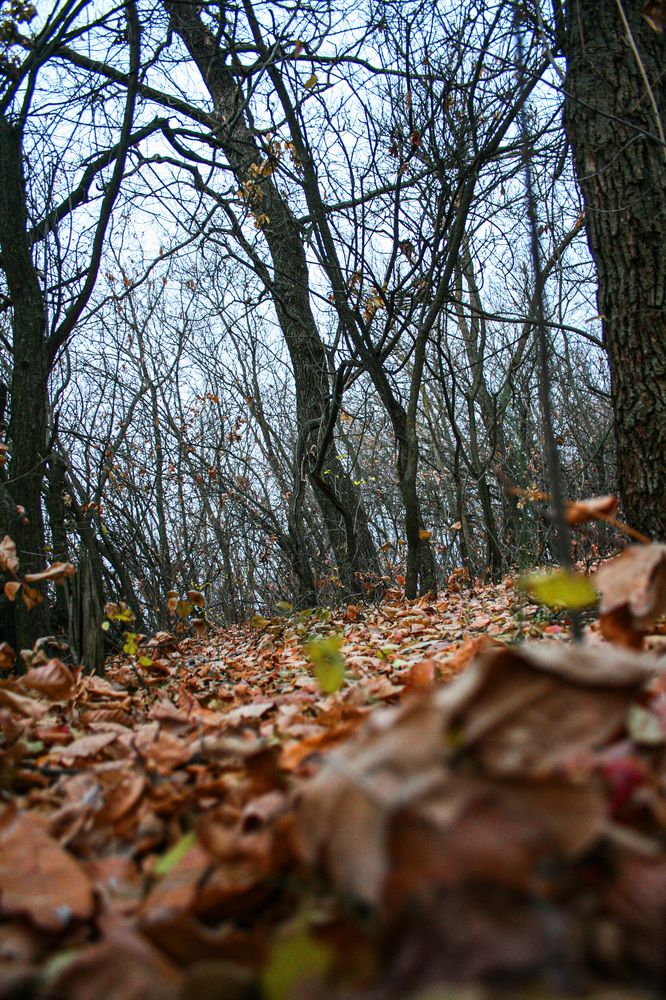 Photograph by Виктория