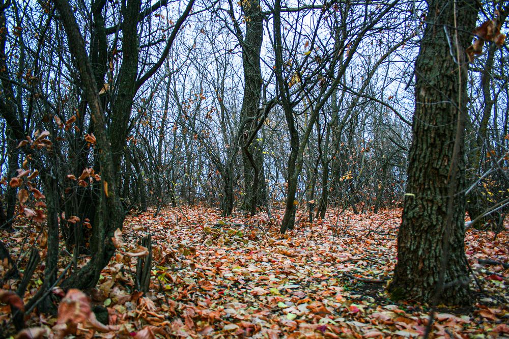 Photograph by Виктория