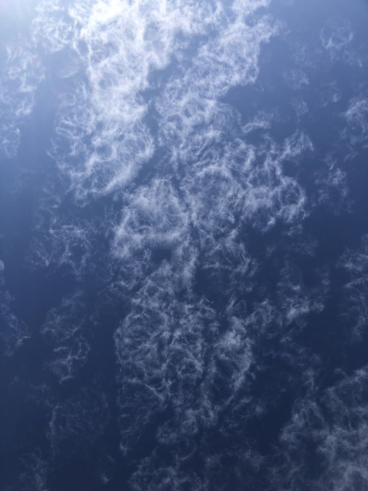 Фотография автора Марина Верба