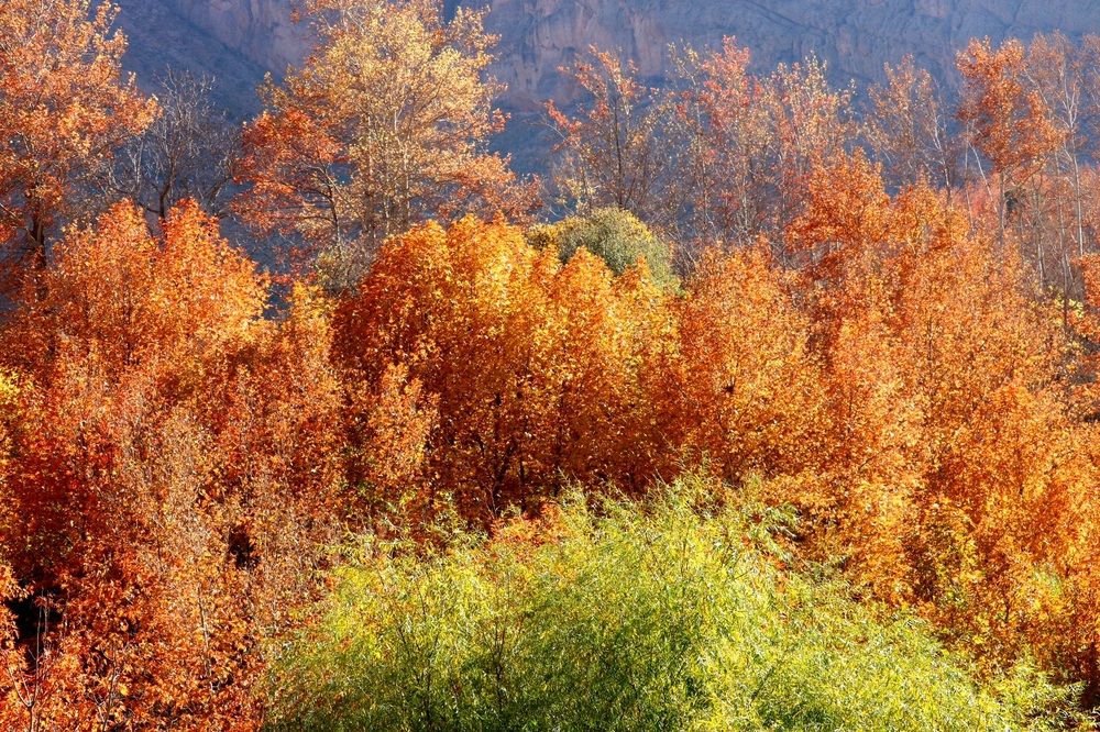 Photograph by Babak Akvan