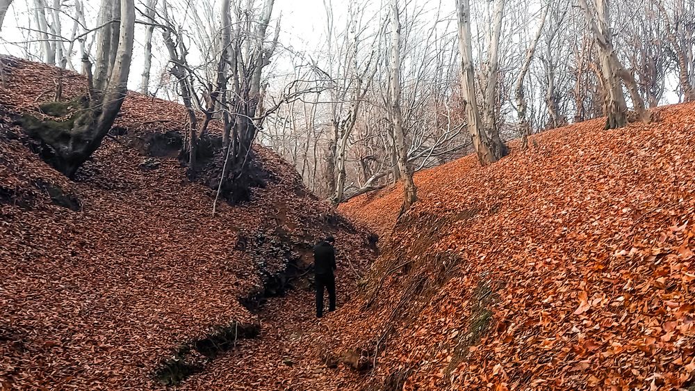 Photograph by mahdi ghanbari