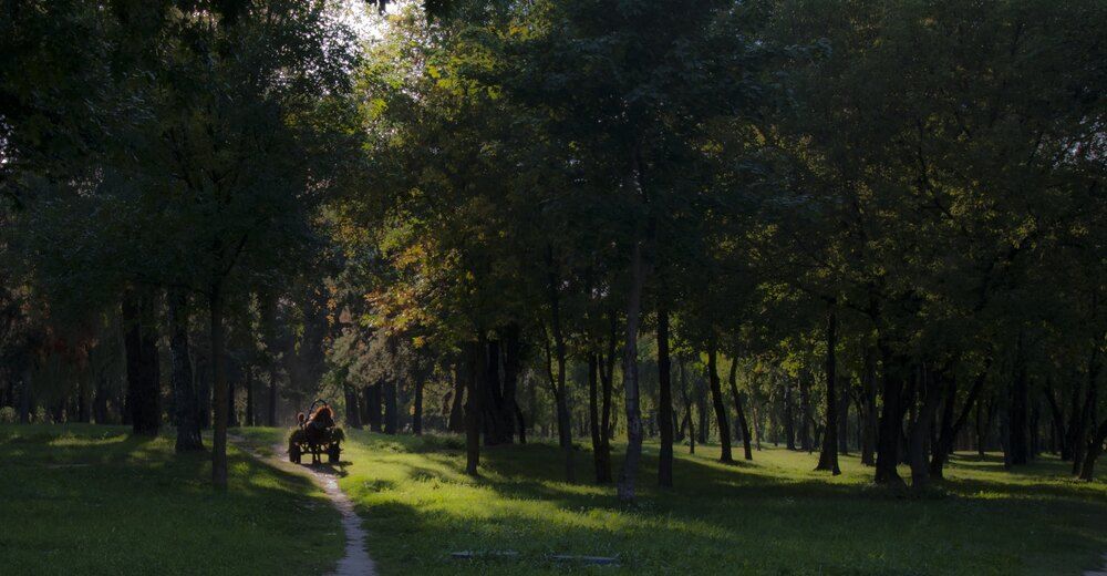 Photograph by Дмитрий Жуков