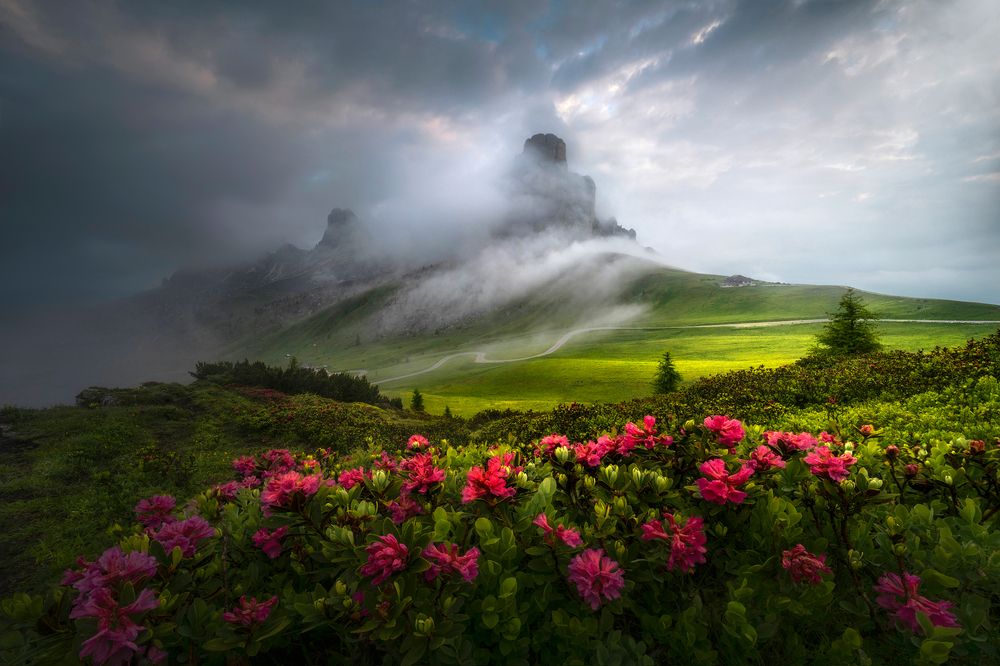 Summer in the Dolomites