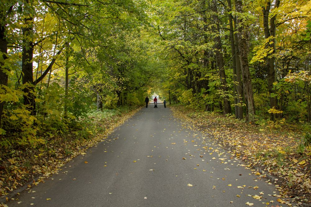 Photograph by Саиди Светлана