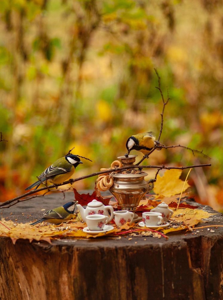 Photograph by Ольга Резникова