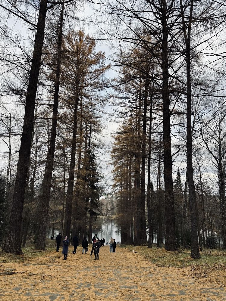 Photograph by Светлана Ионова