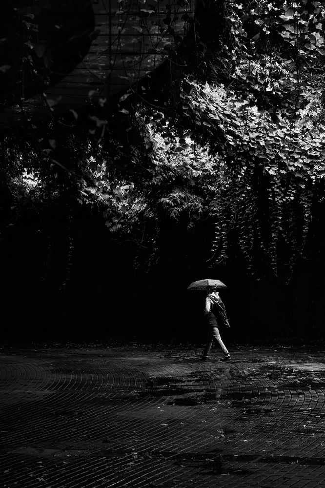 Фотография автора OVIDIU-IOAN TICU