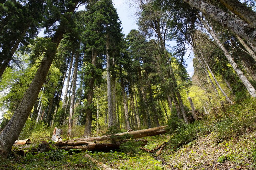 Photograph by Антон Громов