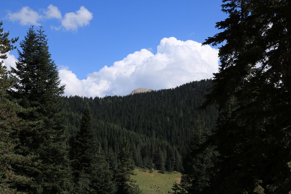 Photograph by Cengiz Yalcin