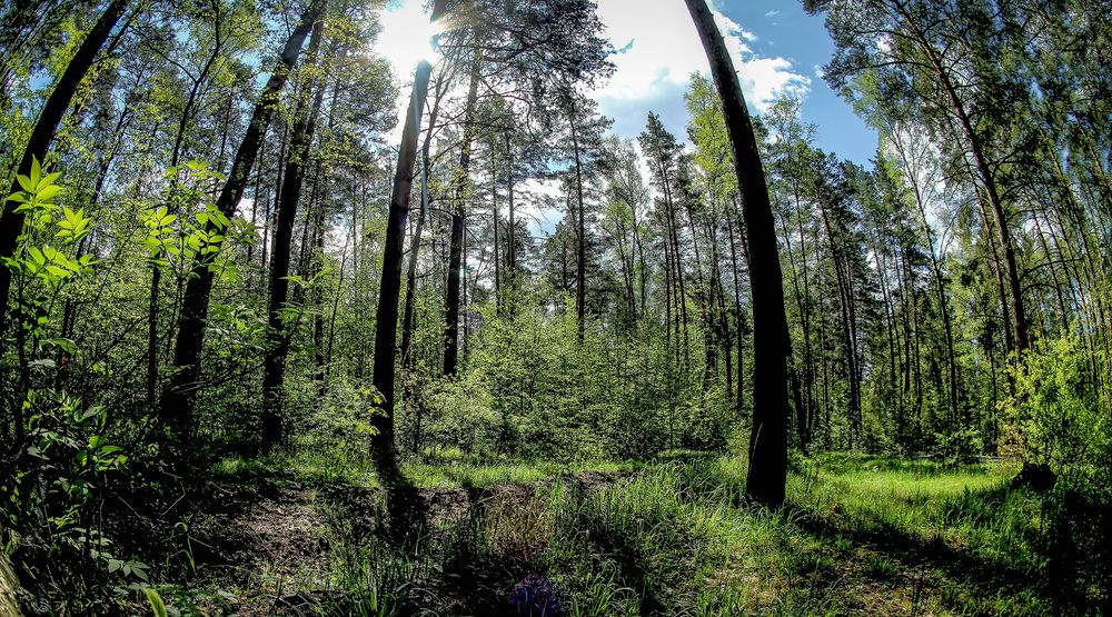 Photograph by Вячеслав Лычков