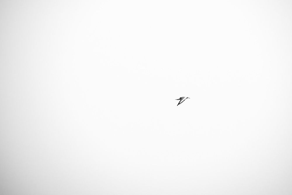 Photograph by Боян Андреев